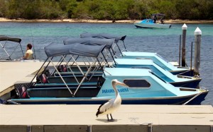 Boat Hire in Forster Tuncurry New South Wales